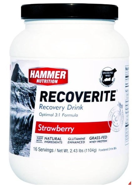 Hammer Recoverite (32 servicios)