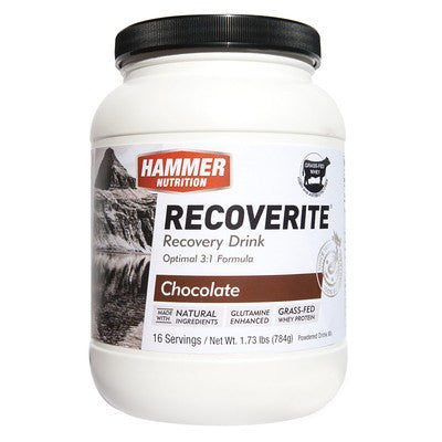 Hammer Recoverite (32 servicios)